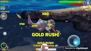 Amazing hungry shark evolution nee uodate of gems by eating turkey sharks