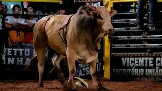 FINAL BULL RIDING SHOWDOWN | RIOLÂNDIA-SP RODEO 2026