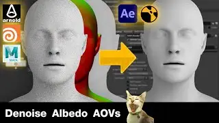 Arnold Denoise Albedo in Comp | Nuke & After Effect