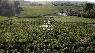 Harvest 2022 - Ch&acirc;teau Bellefont-Belcier - Grand Cru Class&eacute; de Saint-Emilion