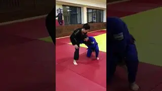 TIMUR BAZARBAEV TRAINING SAJJ+ #shorts #bjj #jiujitsu