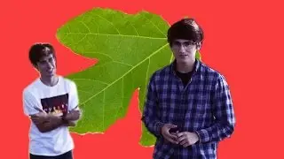 LEAFY RANT [GONE COMMUNIST]