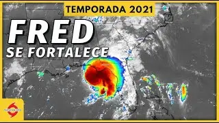 Tormenta tropical Fred se fortalece. Futura tormenta tropical Henri cerca de Bermuda.