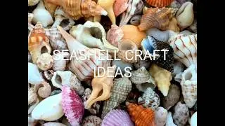 Seashell Craft Ideas ❤️💞💞