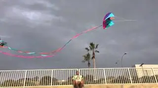 Dad's in the sky - holiq1 (prod by Cameron Blas)