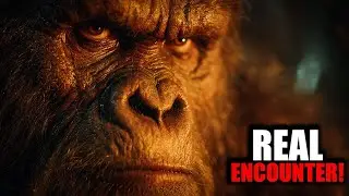 Bigfoot Encounter in the Haunted Forest &ndash; Witness Terrified