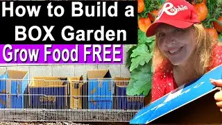 How To Build a RAISED BED Garden for FREE, EASY Container Gardening Vegetables & Create Compost SOIL