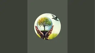 Save Birds 🐦Life
