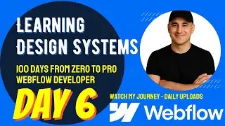 Learning Design Systems - Day 6 of My 100-Day Webflow Journey