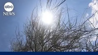 Phoenix set to break record for consecutive days of 110 degrees or higher