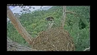 28.07.2025 Камычи. Показательный вылет Сардая!