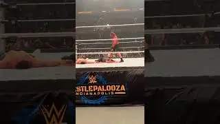 How many F5s did you count in the Brock Lesnar vs Cena clash at Wrestlepalooza SuplexCity