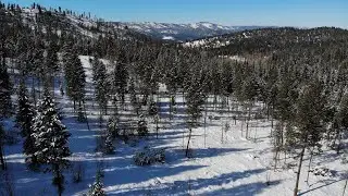 1050 Spring Hill Road, Kila, MT (SOLD)