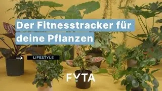 FYTA Beam 6 in 1 Pflanzensensor - der Fitnesstracker f&uuml;r Deine Pflanzen