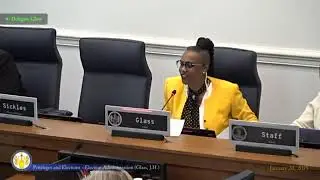 Virginia House of Delegates - Election Administration Subcommittee Meeting - 2025-01-20