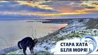 Хата з краю: підсумки зими &mdash; від лебедів до виконавчої служби