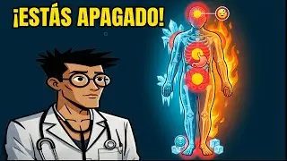 3 señales de que tu cuerpo está en 