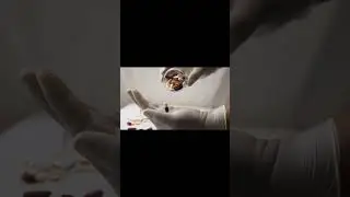 Fentanyl Pill Seizures Skyrocketed by Over 1,700% Since 2017  #science #facts #universe