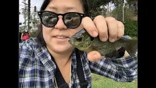 In Which I Return to Echo Park Lake after it's temporary closure. FishingWithKG returns!