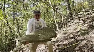 Ancient Large Stone Axe Head