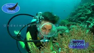 0544_Scuba diver girl close up. 4K Underwater Royalty Free Stock Footage.