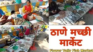 होलसेल फिश मार्केट ठाणे Thane Wholesale Fish Market  Fish Market Of Thane #fishmarket