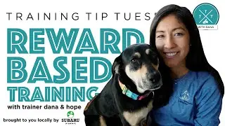 Training Tip Tuesday - Reward Based Training