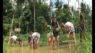 A film about  Green School, Bali (short version)