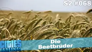 Die Beetbr&uuml;der 🏠 CITIES SKYLINES S2 #068
