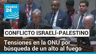 Consejo de Seguridad de la ONU no llegó a un acuerdo sobre cese el fuego humanitario en Gaza