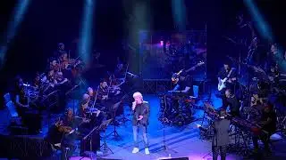 Mi Manchi - Fausto Leali live