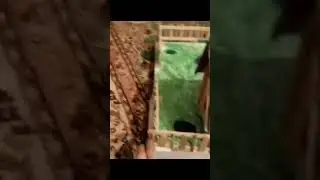 дом