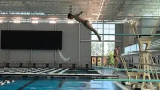 101a Front Dive Straight 1m Springboard 1.4