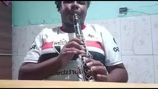 CLarinete Selmer Signet 100