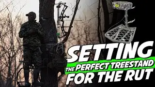 How I Set Up My Treestand for Guaranteed Success