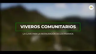 Viveros comunitarios. La clave para la restauración de los páramos.