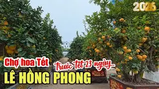 Chợ Hoa Tết Lê Hồng Phong (trước Tết 23 ngày) | 24.01.2026.