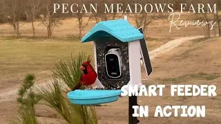 VISIOGEAR Smart Bird Feeder With Camera | 4K Solar Bird Feeder & Bath With AI Bird Identification