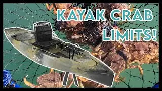Kayak Catching Dungeness Crab LIMITS with Hoop Nets