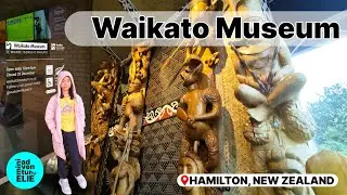 What to See in Waikato Museum | Majestic Te Winika | Exscite | Hamilton, Waikato, New Zealand