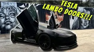 LOWERED TESLA MODEL 3 GETS LAMBO DOORS!!!