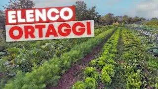 Hai ANCORA 15 giorni per trapiantare L'ORTO INVERNALE