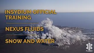 INSYDIUM Training - Snow and Water
