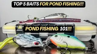 Top 5 Baits For Pond Fishing [Pond Fishing 101]