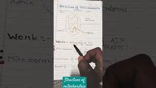 structure of mitochondria#... #shorts.. knowledge hub classes.. #shorts