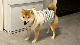 【vol.70】新年明けましておめでとう御座います㊗️🎊