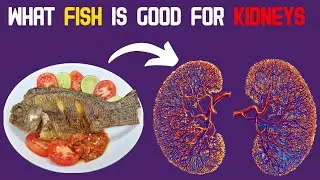 Какая рыба полезна для почек?