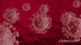 Rejuvenation with lipofilling | Microfat, stem cells, collagen production|Plasma lifting alternative