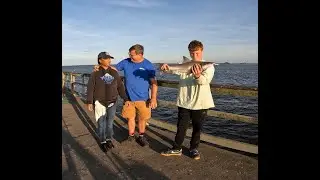 Shark time on Southport Pier