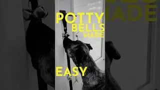 How to Teach Your Dog to Use Potty Bells (To ask to go out) #dogtraining #puppytraining